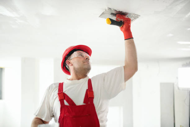 Mold Documentation for Insurance Claims in Murrysville, PA